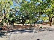 Lot For Sale Ayala Alabang Muntinlupa Prime Lot Vacant Lot