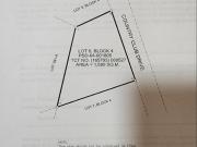 LOT FOR SALE AYALA ALABANG VILLAGE MUNTINLUPA