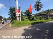 Lot For Sale: Corner Lot along Mandumol Bulacan Street...