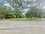 Lot For Sale Corner Lot Ayala Alabang Village Muntinlupa