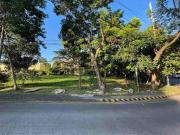 Lot for sale in Apo St. Ayala Alabang Muntinlupa City