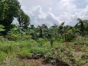Lot for sale in Bacolod City