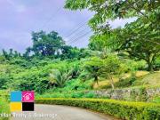 Lot for Sale in Bon Bon Busay Cebu City