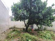 RUSH! Lot For Sale in Brixtonville Subdivision 4.8M...