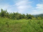 Lot for Sale in Cebu City Ideal for Smart houses and Eco...