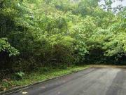 Lot for sale in Cebu City, Ma. Luisa Estate Park, flat lot