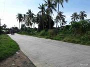 Lot for Sale in Cordova Cebu
