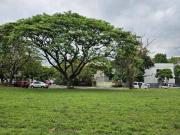 Lot For Sale in Corinthian Gardens Village Quezon City...