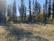 Lot for sale in Creekside Prince George PG City South...