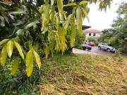 LOT For sale in Filinvest 2 Subdivision Quezon City near...