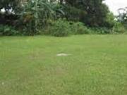 Lot for Sale in Greenmeadows Subdivision, Pasig City