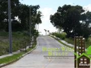 Lot For Sale in Ma. Luisa North The Heritage