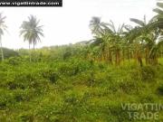 Lot For Sale In Magallanes Cavite 3.5 Hectars