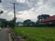 Lot for sale in Manville Royale Bacolod City