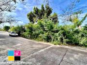 Lot for Sale in Maria Luisa Banilad Cebu City