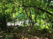 Lot for SALE in Maria Luisa, Banilad, Cebu City