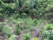 Lot for sale in Mindoro occidental, Abra de ilog