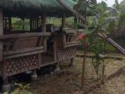 Lot for Sale in pandi near in lumina house