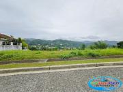 Lot For Sale in Pristina North Talamban Cebu