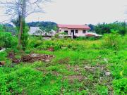 Lot for Sale in San Jose Talamban Cebu City Ideal for...