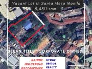 lot for sale in santa mesa manila old school location