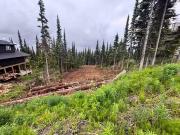 Lot for sale in Smithers, Smithers And Area, 192 Alpine...