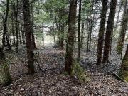 Lot for sale in Sunshine Valley Hope Hope Area Sve54 Old...