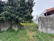 Lot for Sale in Tahanan Village Paranaque City