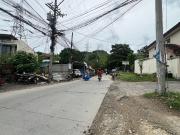 Lot For Sale in Talamban Cebu City Ideal for Housing