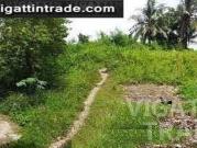 Lot for sale in Tisa Labangon 520sqm for residential
