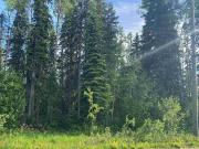 Lot for sale in Western Acres Prince George PG City...