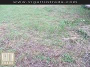 Lot for sale Las Pinas City Industrial Area for LPG...
