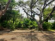 Lot for Sale Ma Luisa Banilad Cebu City