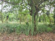 Lot For Sale near Megaworld Maple Grove Commercial Area...
