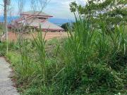 Lot for Sale: Pacific Heights