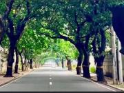 Lot For Sale Prime Vacant Lot New Manila Quezon City