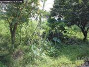 Lot For Sale Town And Country Brgy Inarawan