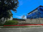 Lot For Sale Verdana Homes Daang Hari