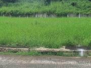 Lot forsale La Cresta De Colinas Verdes, San Jose Del...