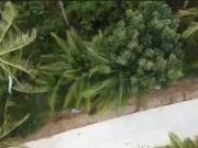 Lot in Agdangan, Quezon for Sale