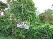 Lot in Augusta Village, Laguna