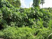 Lot in Communal Buhangin For Sale