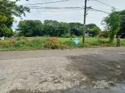 Lot in Multinational, Parañaque for Sale