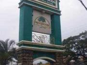 Lot in pasig greenwoods executive village pasig lots