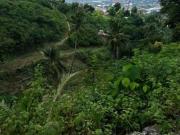 Lot Installment in Cebu City 6 years to pay