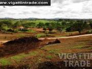 Lot only at ayala altaraza san jose bulacan