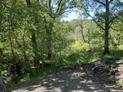 Lot,the Salmon Fields, Land For Sale