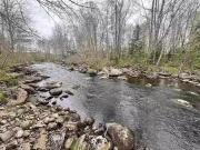 Lot Vb1 Camp Lake Drive, New Ross, NS, B0J 2M0 vacant...