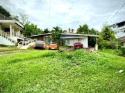 Lot with improvements for sale in Highway 77, Talamban,...