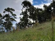 Lote 1000m² em São Roque com excelente potencial